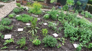 Vous le vous herb_vegetable garden