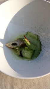 apero Soused herring