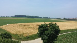 Pajottenland landscape (2)