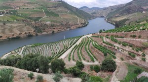 Quinta do Popa view 2