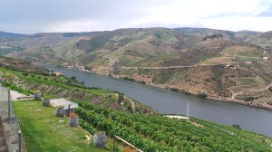 Quinta do Popa view 3