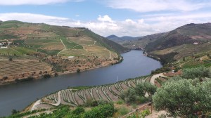 Quinta do Popa view 4