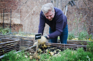 Graanmarkt 13 rooftop garden