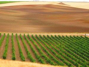 M.I.Suizos_Sept_2012 (14)