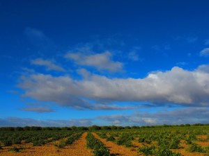 M.I.Suizos_Sept_2012 (9)