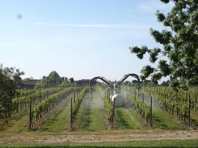 Ca dei Frati estate 2