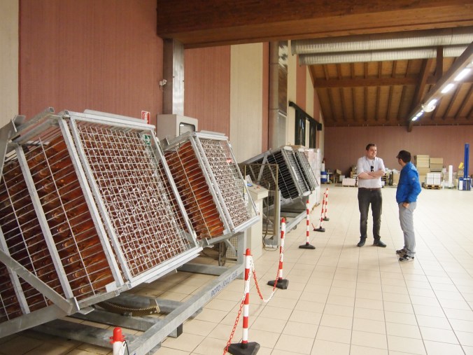 Ca dei Frati estate 5