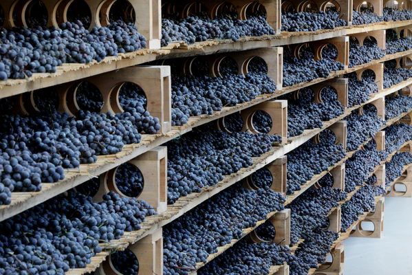 apassimento by consorziovini valtellina apassimento by consorziovini valtellina